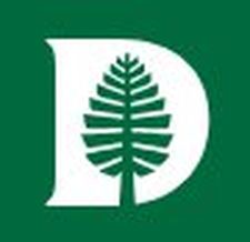 Dartmouth pine